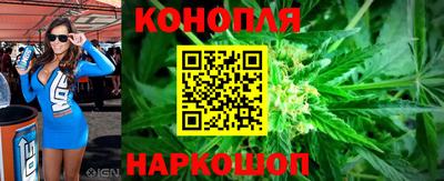 дмт Сланцы