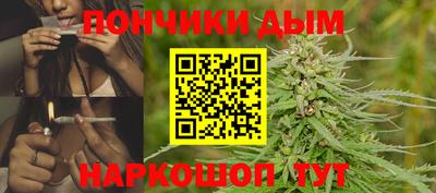 дмт Сланцы