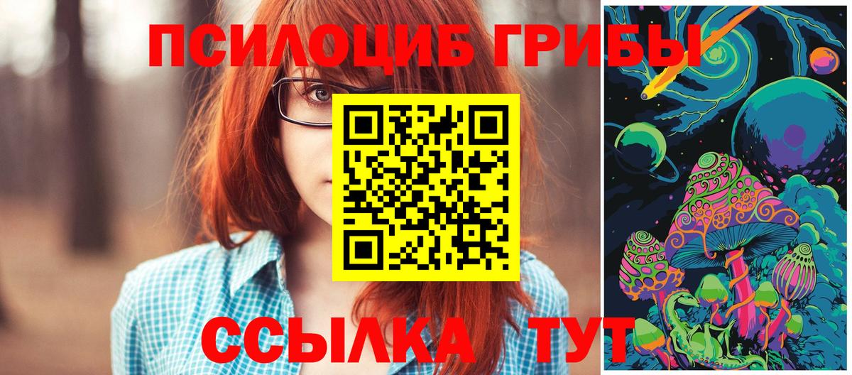 Галлюциногенные грибы прущие грибы Чистополь